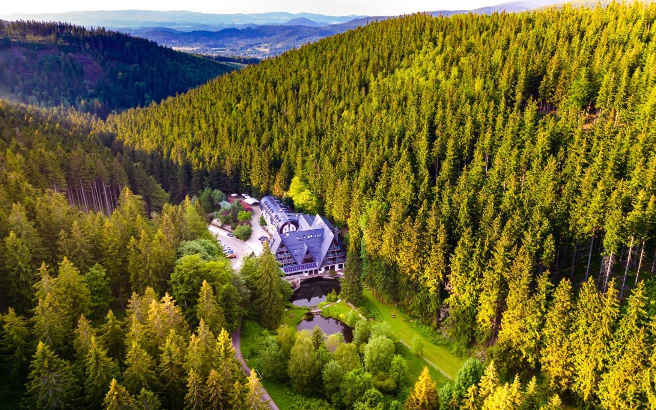 Jelenia Struga Medical Dla Dorosłych