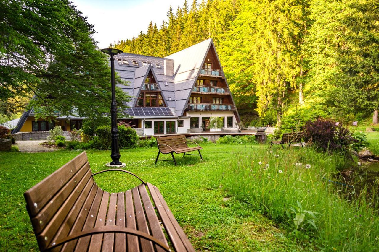 Hotel Jelenia Struga Medical 4*
